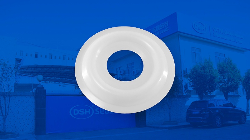 米頓羅計量泵膜片 （又叫隔膜、密封件、密封圈、油封） (2)