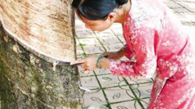 橡膠密封件材料材質(zhì)分類2