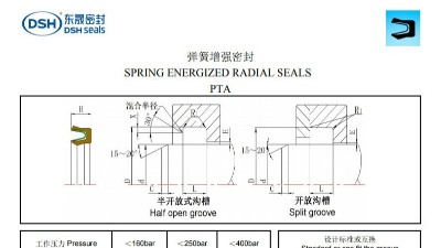 彈簧增強(qiáng)密封規(guī)格尺寸表