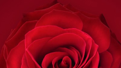 姐妹們，三八節(jié)快樂！