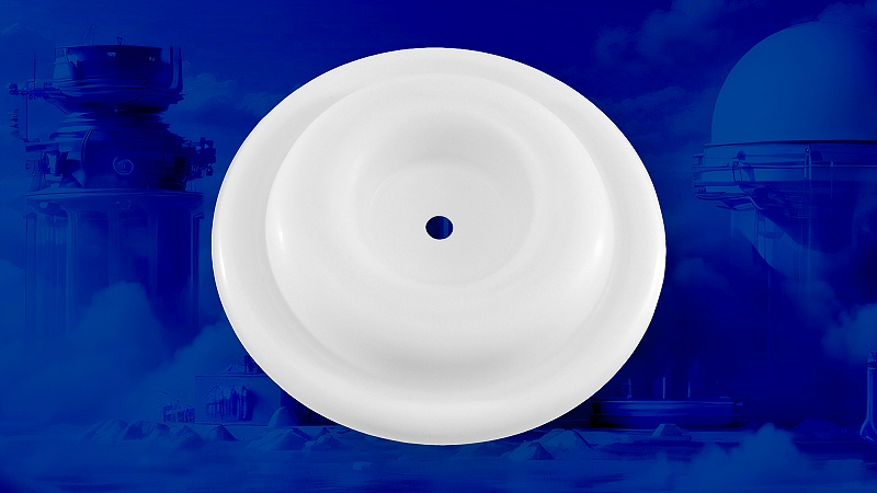 氣動(dòng)泵膜片 氣動(dòng)隔膜泵膜片或隔膜配件產(chǎn)品圖