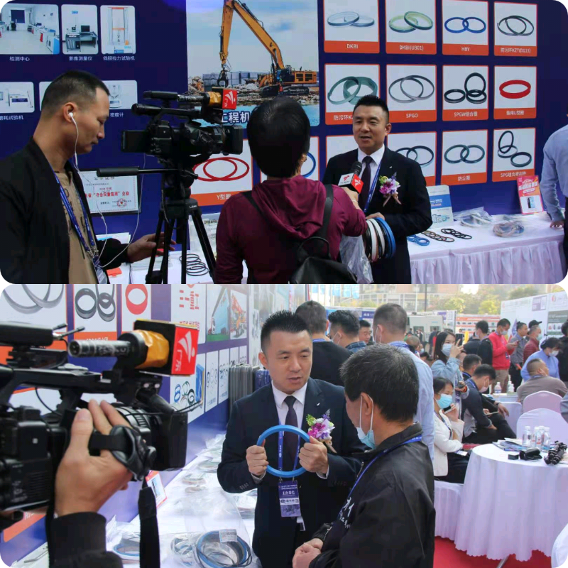 東晟密封胡燕林先生進(jìn)行密封圈介紹