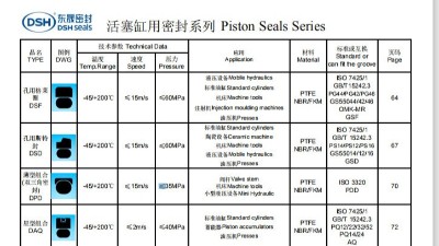 <i style='color:red'>活塞缸密封圈</i>選型系列1