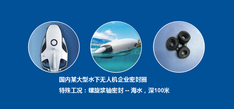 海水無人機(jī)密封圈