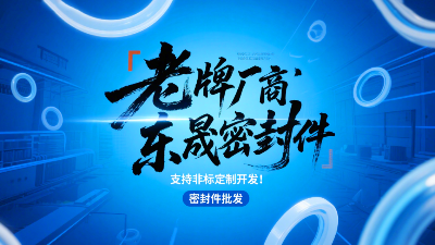 密封圈批發(fā)老牌廠商?hào)|晟密封圈，支持非標(biāo)定制開發(fā)！