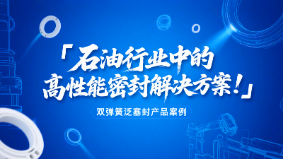 ?雙彈簧泛塞封產(chǎn)品案例 ? 石油行業(yè)中的高性能密封解決方案！?