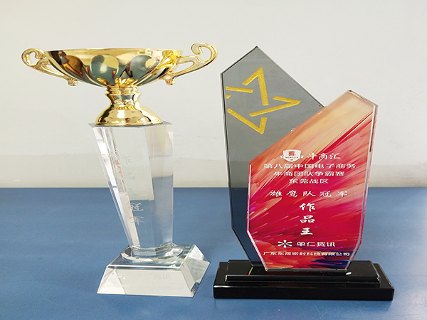 2022牛商爭(zhēng)霸團(tuán)隊(duì)獎(jiǎng)-東晟泛塞封密封圈