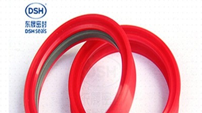 旋轉(zhuǎn)密封件密封失效的原因和解決方法