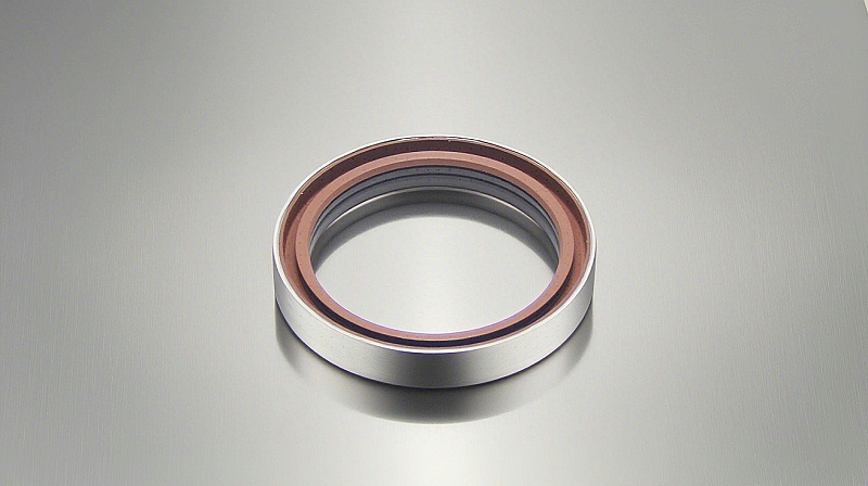 氟橡膠骨架油封---一種由氟橡膠密封材質制成的骨架型油封密封件，廣泛應用于各大行業(yè)中，如化工行業(yè)等