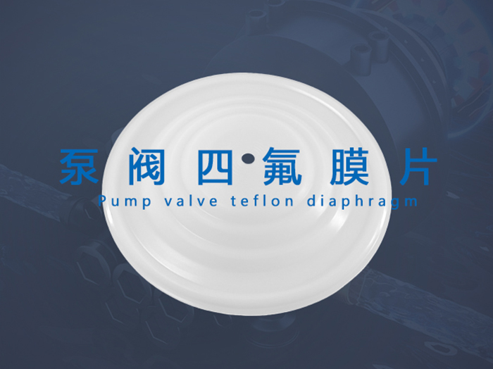 泵閥四氟密封件密封圈油封膜片產(chǎn)品圖