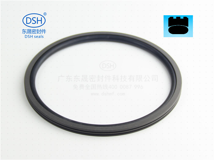 機(jī)電設(shè)備旋轉(zhuǎn)密封解決方案-孔用旋轉(zhuǎn)格萊圈DNS