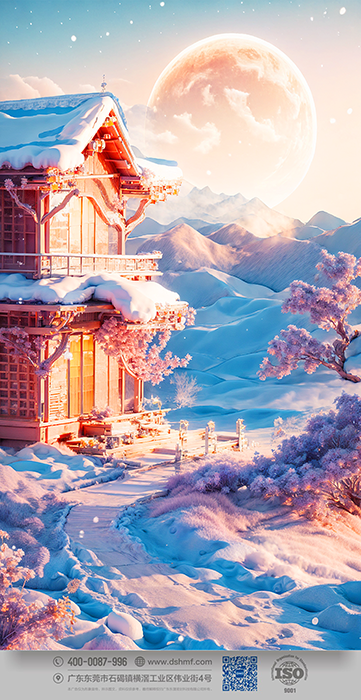 2-2023年?yáng)|奄冬至節(jié)氣海報(bào) (4)