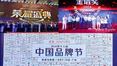 東晟密封件閃耀2024第十八屆中國(guó)品牌節(jié)，榮獲密封技術(shù)“金譜獎(jiǎng)”