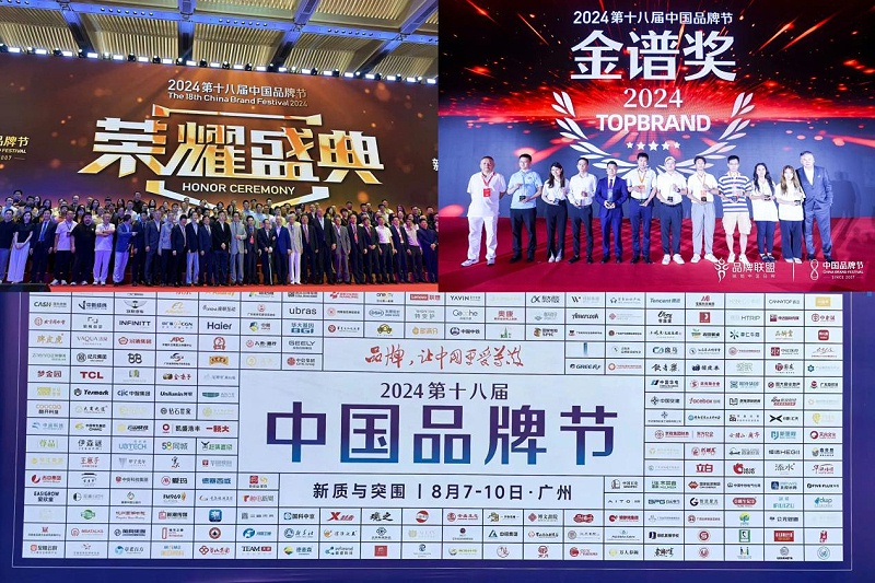 1東晟密封件閃耀2024第十八屆中國(guó)品牌節(jié)，榮獲密封技術(shù)“金譜獎(jiǎng)”