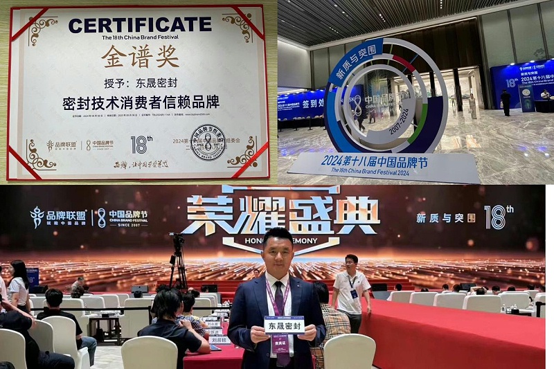 3東晟密封件閃耀2024第十八屆中國(guó)品牌節(jié)，榮獲密封技術(shù)“金譜獎(jiǎng)”
