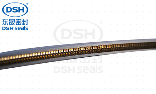 外側(cè)泛塞封PTD