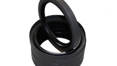 旋轉(zhuǎn)密封件（Rotary&nbsp;Shaft&nbsp;Seal）1