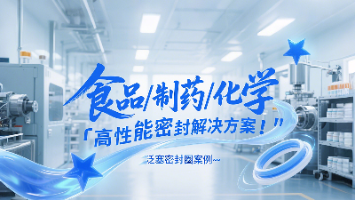 泛塞密封圈：食品、制藥和化學(xué)工業(yè)中的高性能密封解決方案！?