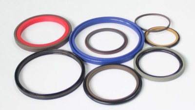 一個應(yīng)用在食品級螺桿泵的機(jī)械設(shè)備密封件？食品類密封圈？