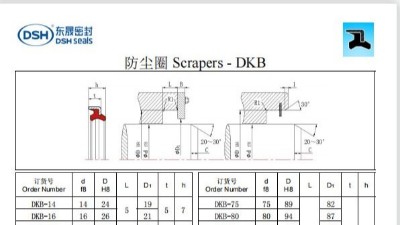 新版防塵圈DKB規(guī)格尺寸表