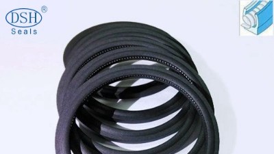 大連屏蔽泵靜密封解決方案—內(nèi)側(cè)密封PTC泛塞封