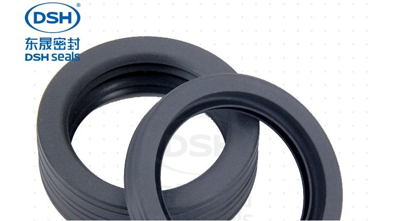 環(huán)保設(shè)備密封解決方案—B1油封