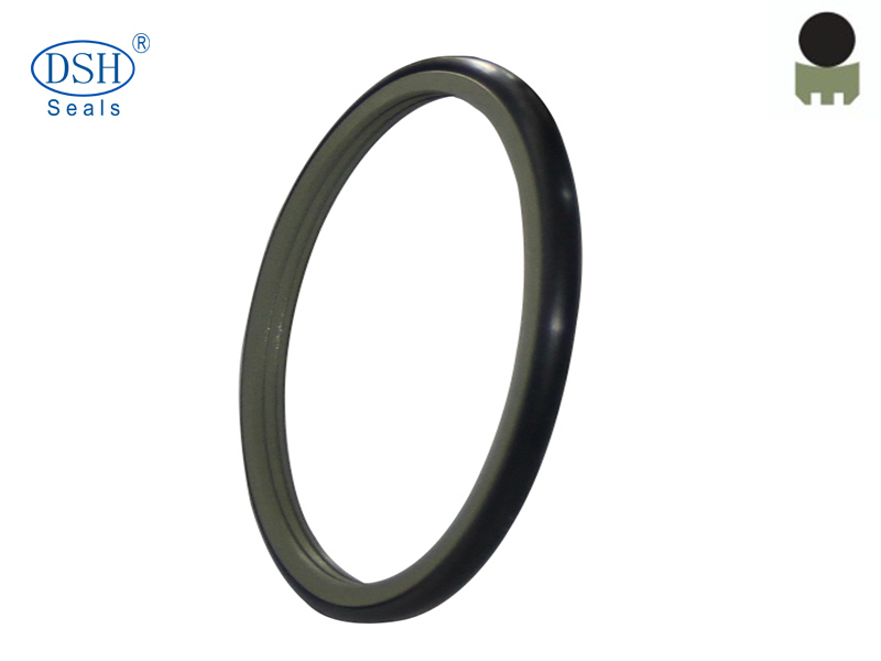 西安液壓密封解決方案—DRS軸用旋轉(zhuǎn)格萊圈