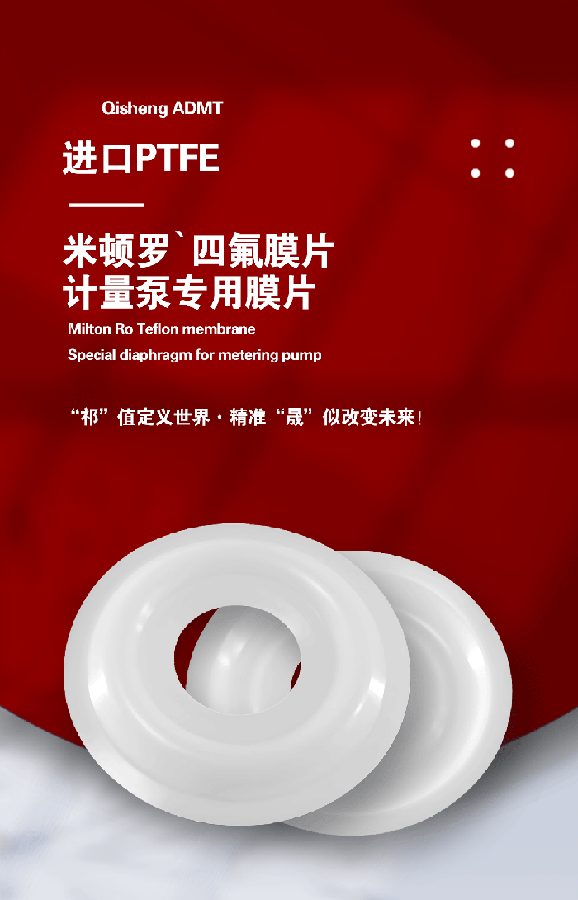 勝佰德氣動(dòng)隔膜泵膜片 (1)
