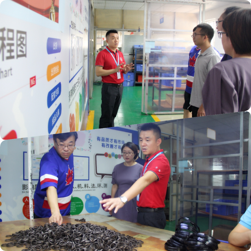 東晟密封格萊圈產(chǎn)品介紹