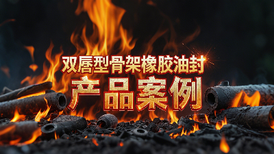 雙唇型骨架橡膠油封產(chǎn)品案例丨軸用密封大揭秘！高溫200℃下，憑啥成“防漏王者”？?