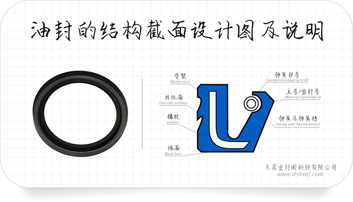 油封密封圈的唇口10種泄漏原因及26條分析結(jié)果表！
