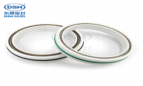 醫(yī)療設(shè)備彈簧旋轉(zhuǎn)密封圈-四氟軸用泛塞封