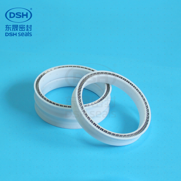 往復(fù)孔用泛塞封