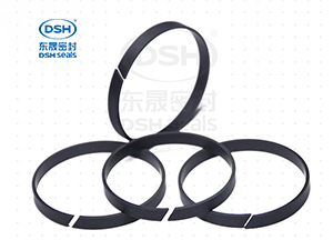 導向環(huán)（背托環(huán)）