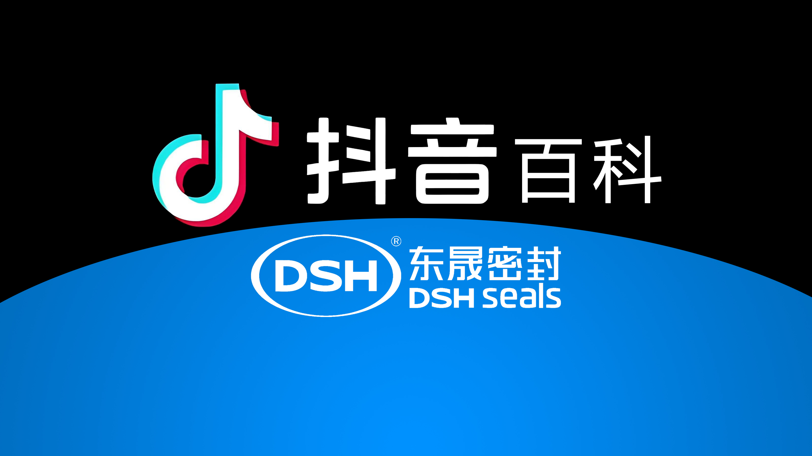 權(quán)威解讀，東晟密封件官方百科閃耀<i style='color:red'>抖音</i>！