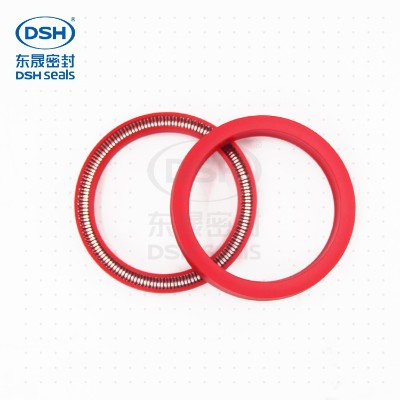 彈簧蓄能密封圈