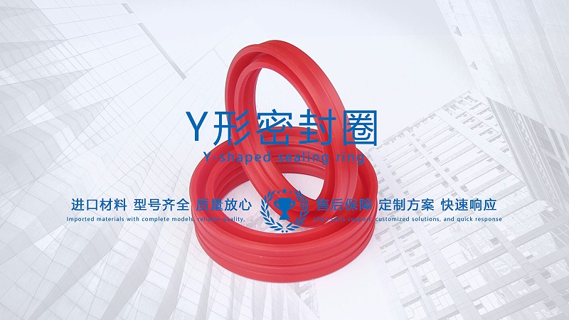 y型密封圈（又Y形密封圈，Y形圈，Y型圖或唇形密封圈，密封件油封膜片） (3)