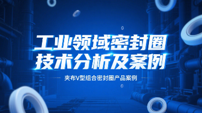 夾布V型組合密封圈 ? 工業(yè)領(lǐng)域密封圈技術(shù)分析及案例！