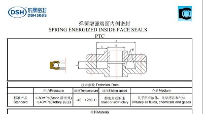 新版彈簧增強端面內(nèi)側(cè)密封