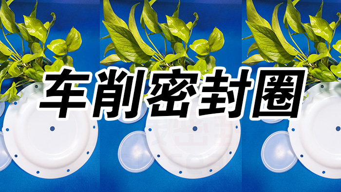 2車削密封圈，氣動(dòng)隔膜泵膜片密封件