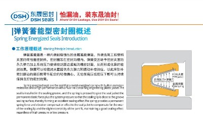 <i style='color:red'>泛塞封唇型密封圈</i>彈簧蓄能型密封圈概述