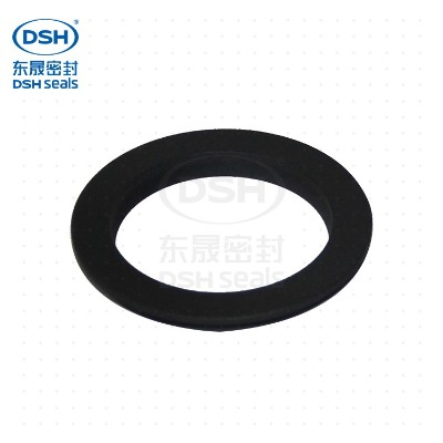 旋轉(zhuǎn)泛塞封