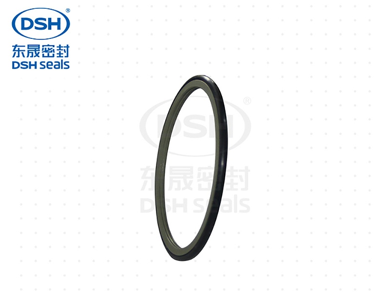 旋轉(zhuǎn)密封圈